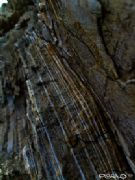 Acantilados